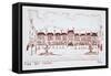 Place des Vosges in the historic district of Marais, Paris, France-Richard Lawrence-Framed Stretched Canvas