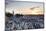 Place Djemaa El Fna and Koutoubia Mosque at Sunset, Marrakech, Morocco, North Africa, Africa-Matthew Williams-Ellis-Mounted Photographic Print