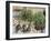 Place Du Theatre-Francais, Spring, 1898-Camille Pissarro-Framed Giclee Print