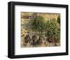 Place Due Theatre Francais, 1898-Camille Pissarro-Framed Art Print