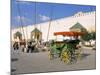 Place El Hedim, Meknes, Morocco, North Africa, Africa-Bruno Morandi-Mounted Photographic Print