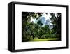 Place for Lovers in Central Park, Manhattan, New York City, White Frame, Full Size Photography-Philippe Hugonnard-Framed Stretched Canvas