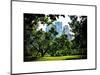 Place for Lovers in Central Park, Manhattan, New York City, White Frame, Full Size Photography-Philippe Hugonnard-Mounted Art Print