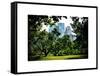 Place for Lovers in Central Park, Manhattan, New York City, White Frame, Full Size Photography-Philippe Hugonnard-Framed Stretched Canvas