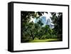 Place for Lovers in Central Park, Manhattan, New York City, White Frame, Full Size Photography-Philippe Hugonnard-Framed Stretched Canvas