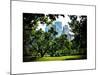 Place for Lovers in Central Park, Manhattan, New York City, White Frame, Full Size Photography-Philippe Hugonnard-Mounted Art Print