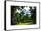 Place for Lovers in Central Park, Manhattan, New York City, White Frame, Full Size Photography-Philippe Hugonnard-Framed Stretched Canvas