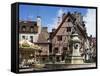 Place Francois Rude Bareuzai, Dijon, Bourgogne (Burgundy), France-Peter Scholey-Framed Stretched Canvas