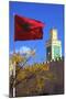 Place Lalla Aouda and the Minaret of the Lalla Aouda Mosque, Meknes, Morocco, North Africa, Africa-Neil Farrin-Mounted Photographic Print