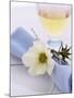 Place Setting with Flower-Giorgio Scarlini-Mounted Photographic Print