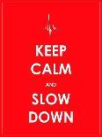 Keep Calm and Slow down Banner-place4design-Art Print