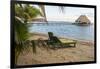 Placencia, Belize. Lounge Chairs on Groomed Sandy Beach-Trish Drury-Framed Photographic Print