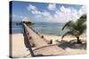 Placencia, Belize. Roberts Grove Resort, Pier Leads from Beach to Bar-Trish Drury-Stretched Canvas