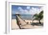 Placencia, Belize. Roberts Grove Resort, Pier Leads from Beach to Bar-Trish Drury-Framed Photographic Print