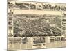 Placerville, California - Panoramic Map-Lantern Press-Mounted Art Print