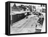 Placerville in 1900-null-Framed Stretched Canvas