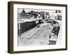 Placerville in 1900-null-Framed Photographic Print