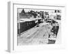 Placerville in 1900-null-Framed Photographic Print