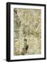 Places We Will Go III-Tyson Estes-Framed Giclee Print