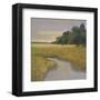 Placid Marsh-Adina Langford-Framed Art Print