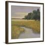 Placid Marsh-Adina Langford-Framed Art Print