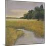 Placid Marsh-Adina Langford-Mounted Art Print