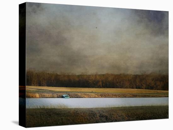 Placid Moment-Jai Johnson-Stretched Canvas