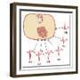 Placing of Electrodes for ECG, Artwork-Peter Gardiner-Framed Photographic Print