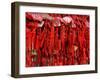 Placques Adorn the Fence of the Four Gates Buddhist Temple, Shandong Province, Jinan, China-Bruce Behnke-Framed Photographic Print