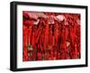 Placques Adorn the Fence of the Four Gates Buddhist Temple, Shandong Province, Jinan, China-Bruce Behnke-Framed Photographic Print