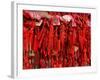 Placques Adorn the Fence of the Four Gates Buddhist Temple, Shandong Province, Jinan, China-Bruce Behnke-Framed Photographic Print