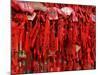 Placques Adorn the Fence of the Four Gates Buddhist Temple, Shandong Province, Jinan, China-Bruce Behnke-Mounted Photographic Print