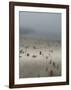 Plage, c.2008-Nicolas Le Beuan Bénic-Framed Premium Giclee Print