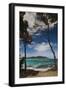 Plage De Palombaggia Beach, Porto Vecchio, Corsica, France-Walter Bibikow-Framed Photographic Print