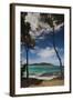 Plage De Palombaggia Beach, Porto Vecchio, Corsica, France-Walter Bibikow-Framed Photographic Print