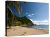 Plage du Figuier, Iles Des Saintes, Terre de Haut, Guadeloupe, French Caribbean-Sergio Pitamitz-Stretched Canvas