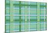 Plaid 3-Joanne Paynter Design-Mounted Giclee Print