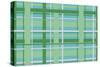 Plaid 3-Joanne Paynter Design-Stretched Canvas