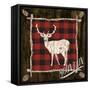 Plaid Birch Trail II-Gina Ritter-Framed Stretched Canvas