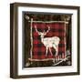 Plaid Birch Trail II-Gina Ritter-Framed Art Print