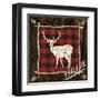 Plaid Birch Trail II-Gina Ritter-Framed Art Print