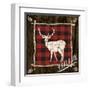 Plaid Birch Trail II-Gina Ritter-Framed Art Print