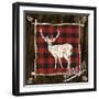 Plaid Birch Trail II-Gina Ritter-Framed Art Print