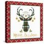 Plaid Christmas 1-Jean Plout-Stretched Canvas