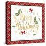 Plaid Christmas 3-Jean Plout-Stretched Canvas