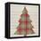 Plaid Christmas II-null-Framed Stretched Canvas