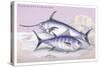 Plain Bonito and Swordfish-Robert Hamilton-Stretched Canvas
