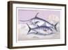 Plain Bonito and Swordfish-Robert Hamilton-Framed Art Print