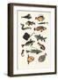 Plain Fish, 2015-Eliza Southwood-Framed Giclee Print