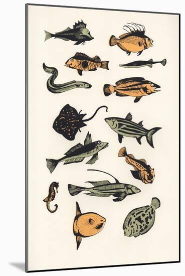 Plain Fish, 2015-Eliza Southwood-Mounted Giclee Print